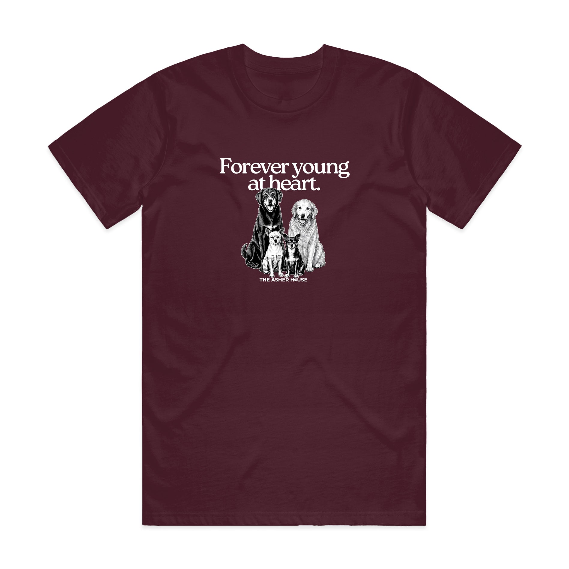 New! PawsitiviTEES T-Shirt: Forever Young at Heart- Up to 3XL