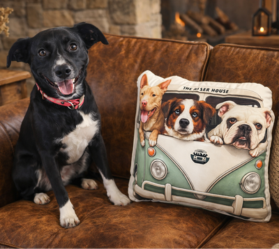 New! Bus Logo Custom-shaped Pillow