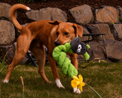 🇺🇸 New! Duraplush Toys by Cycle Dog