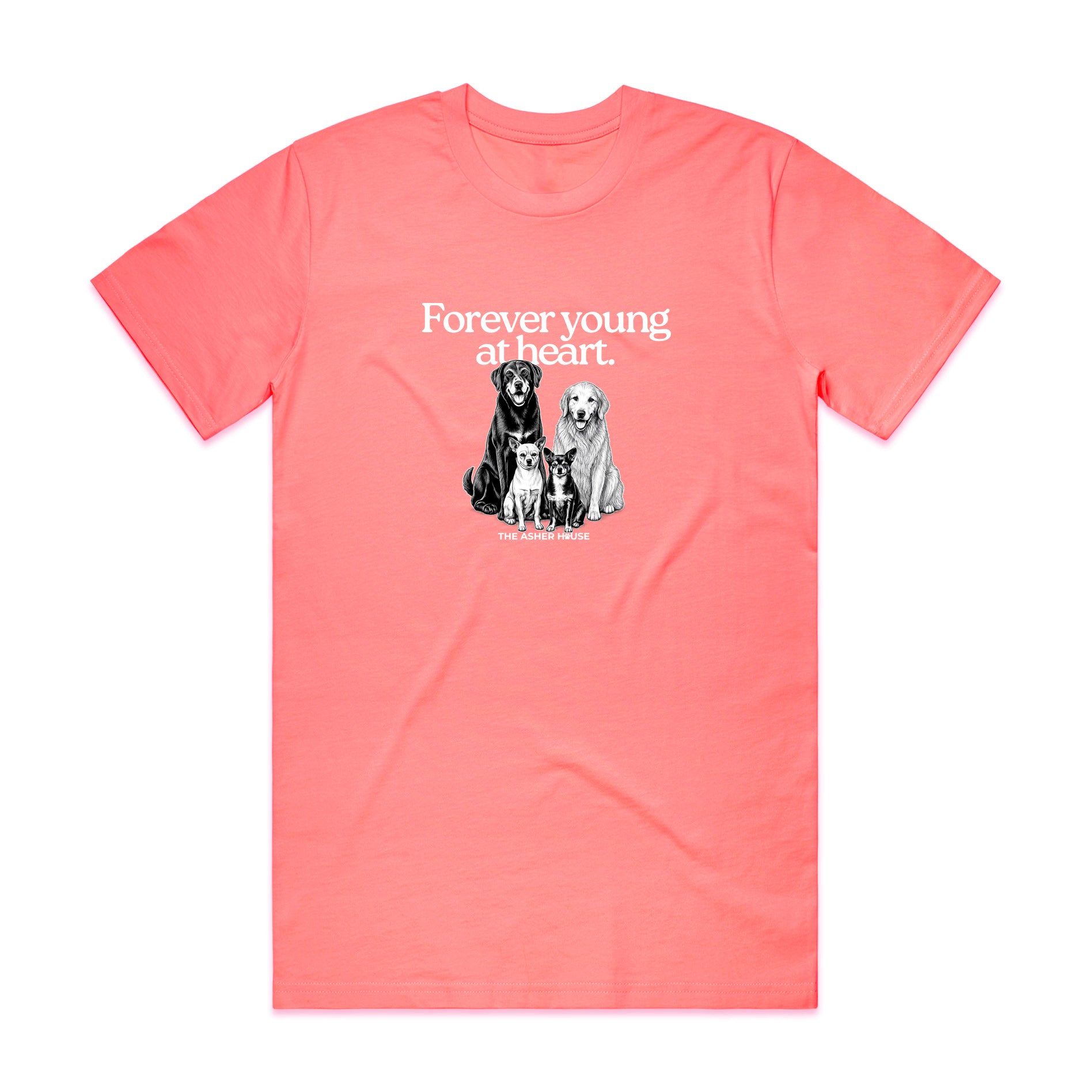 New! PawsitiviTEES T-Shirt: Forever Young at Heart- Up to 3XL