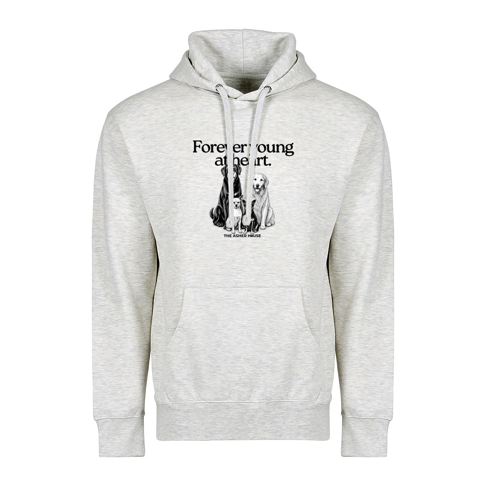 New! PawsitiviTEES Hoodie Forever Young At Heart - Up to 5XL