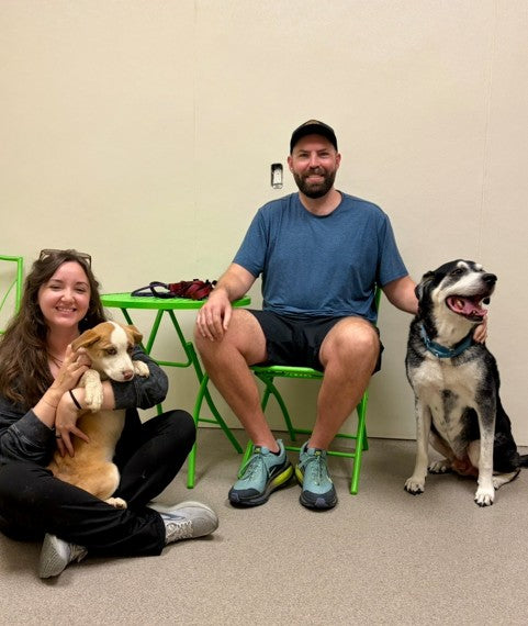 Darcy_Adoption.jpg