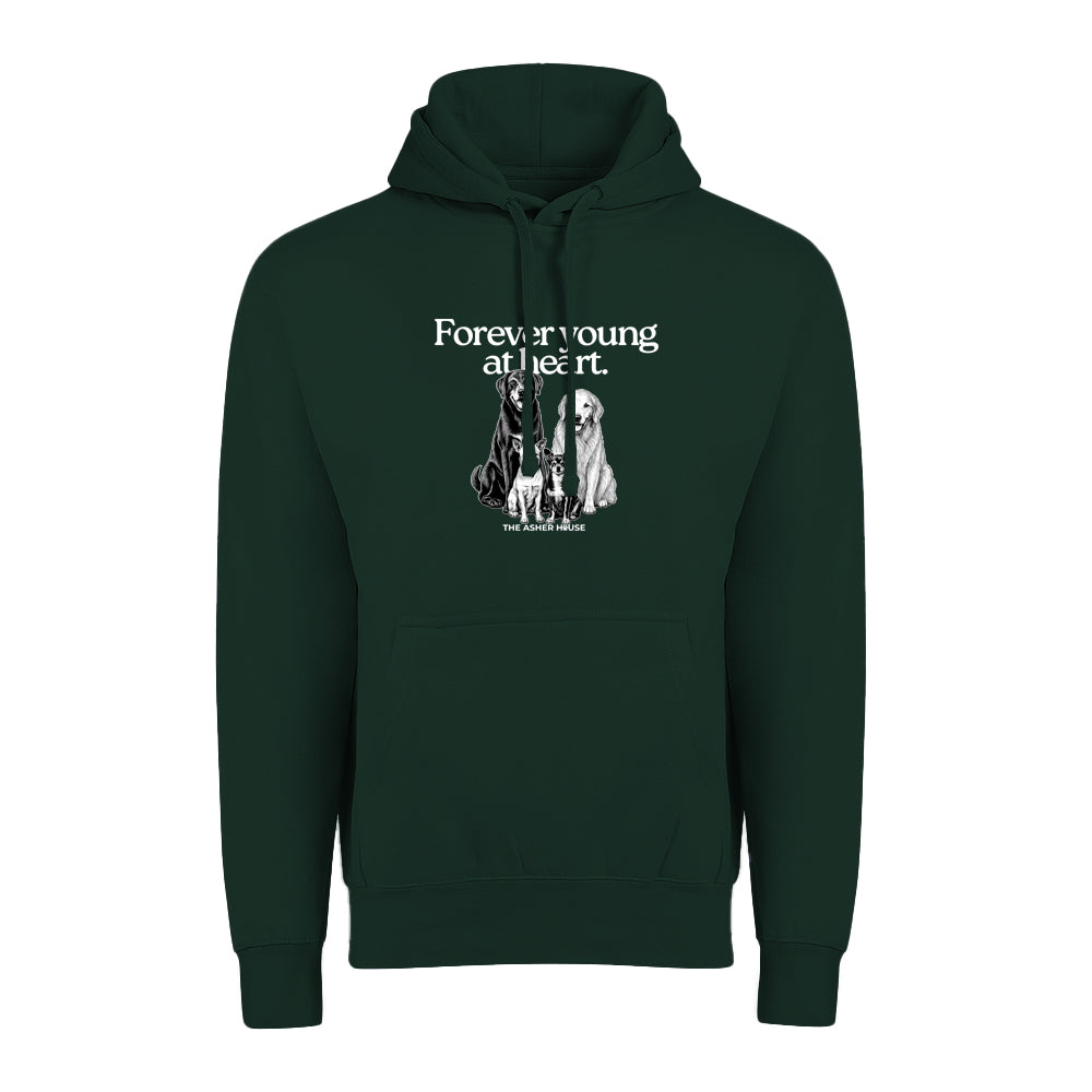 New! PawsitiviTEES Hoodie Forever Young At Heart - Up to 5XL