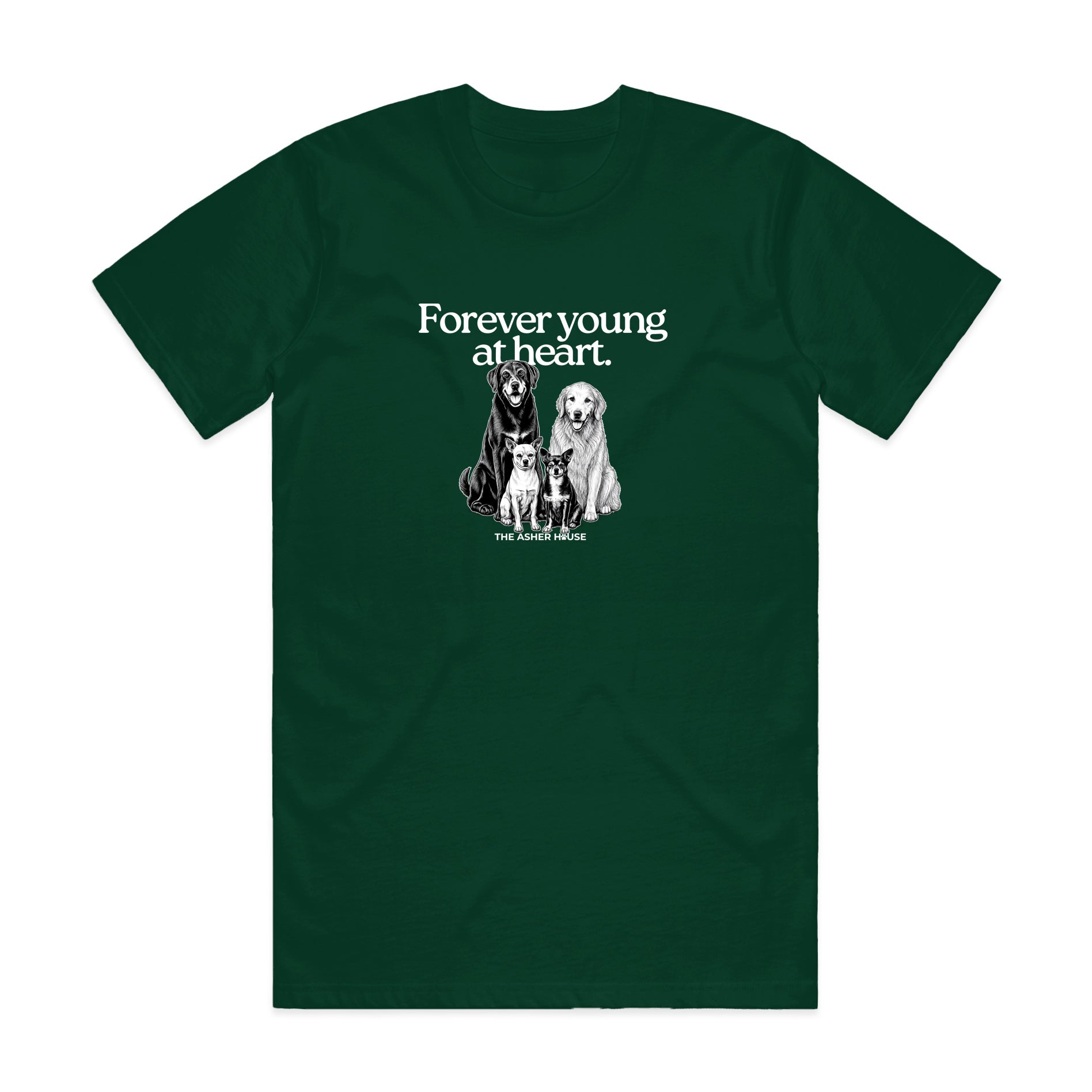 New! PawsitiviTEES T-Shirt: Forever Young at Heart- Up to 3XL