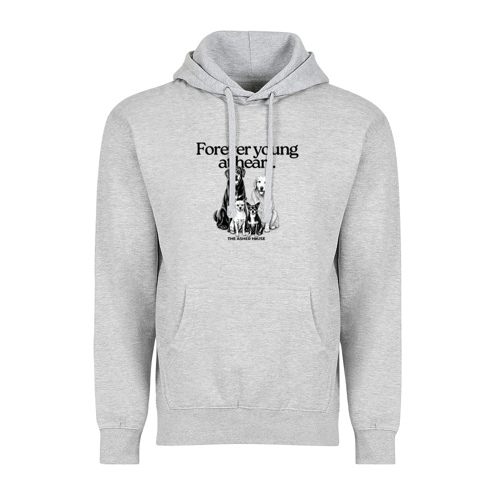 New! PawsitiviTEES Hoodie Forever Young At Heart - Up to 5XL