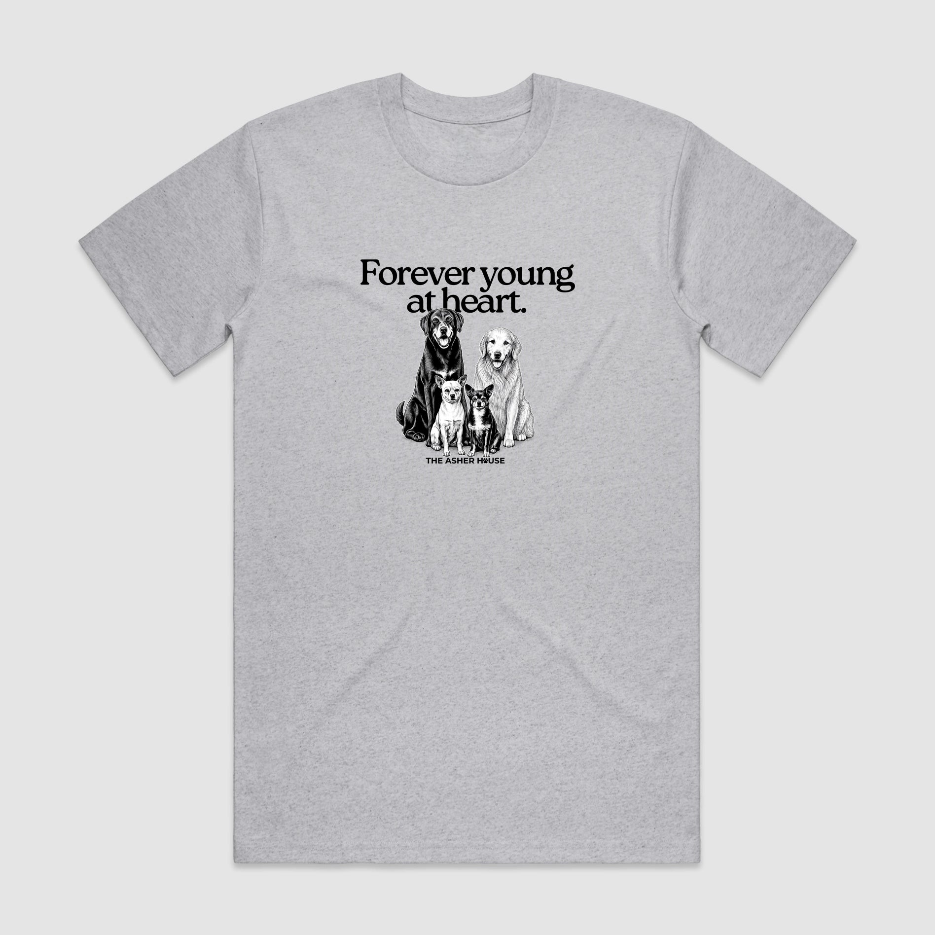 New! PawsitiviTEES T-Shirt: Forever Young at Heart- Up to 3XL