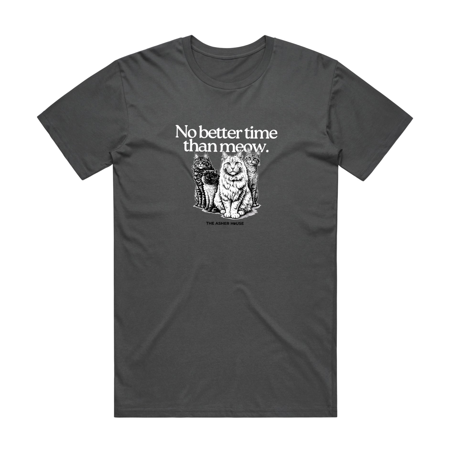 New! PawsitiviTEES T-Shirt: No Better Time Than Meow- Up to 3XL