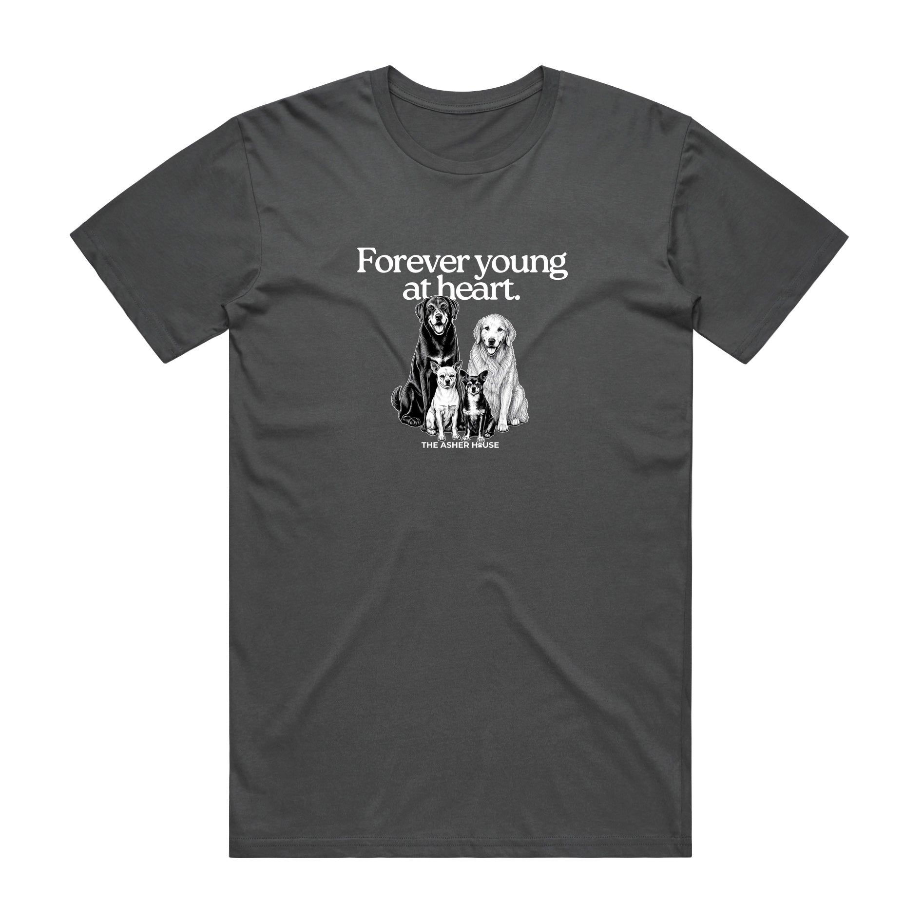 New! PawsitiviTEES T-Shirt: Forever Young at Heart- Up to 3XL