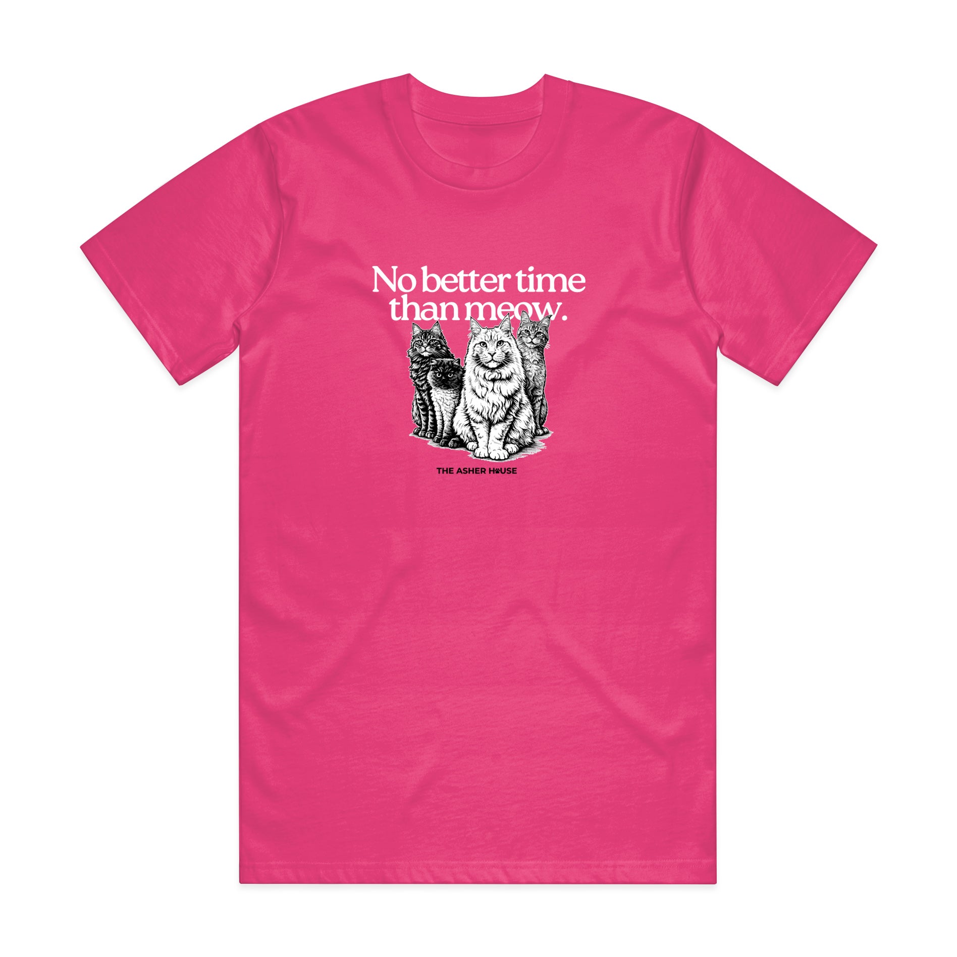 New! PawsitiviTEES T-Shirt: No Better Time Than Meow- Up to 3XL