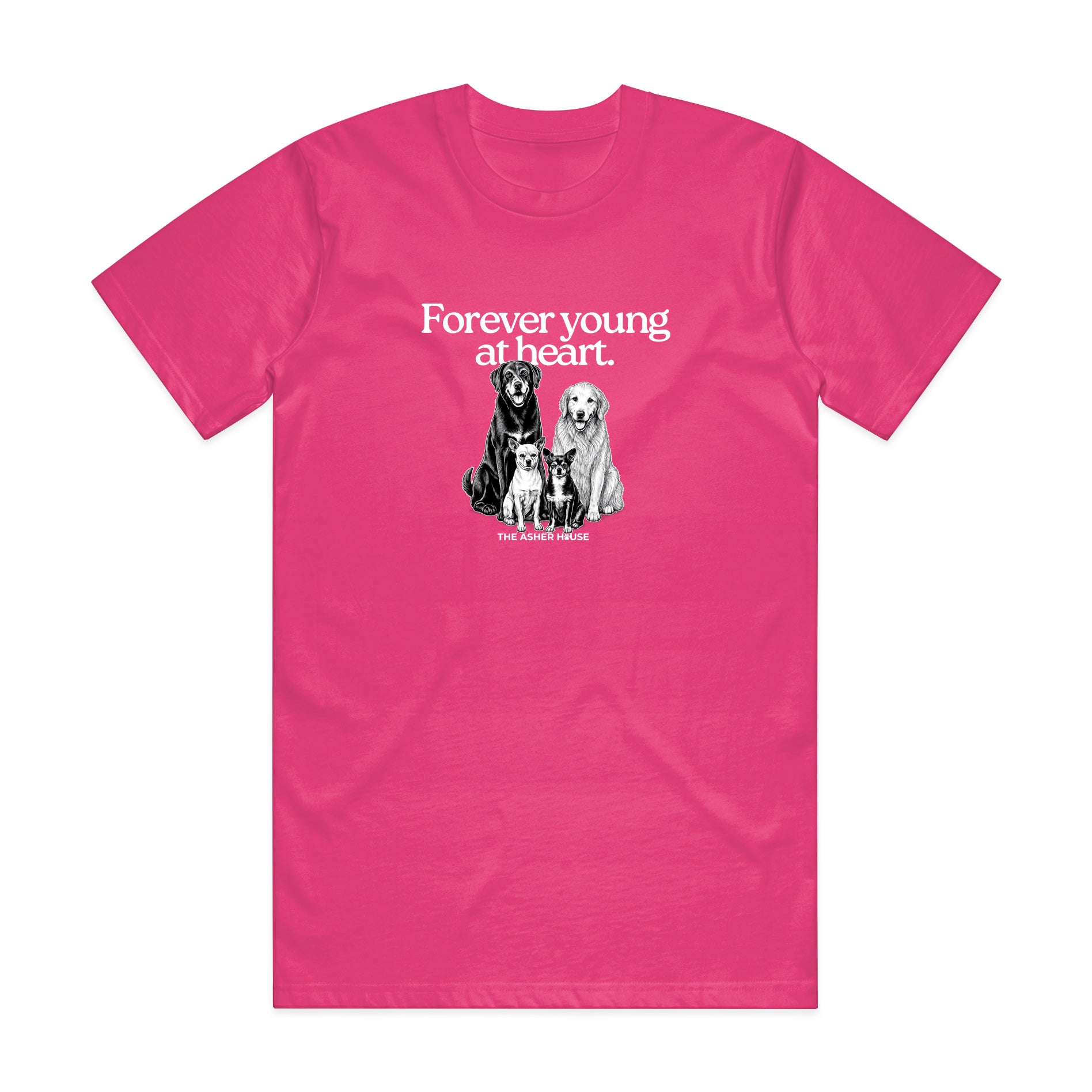 New! PawsitiviTEES T-Shirt: Forever Young at Heart- Up to 3XL