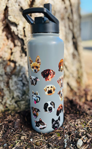 NEW! The Asher House BIG Water Bottle