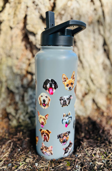NEW! The Asher House BIG Water Bottle