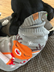 New! Cozy Holiday Pet Sweaters