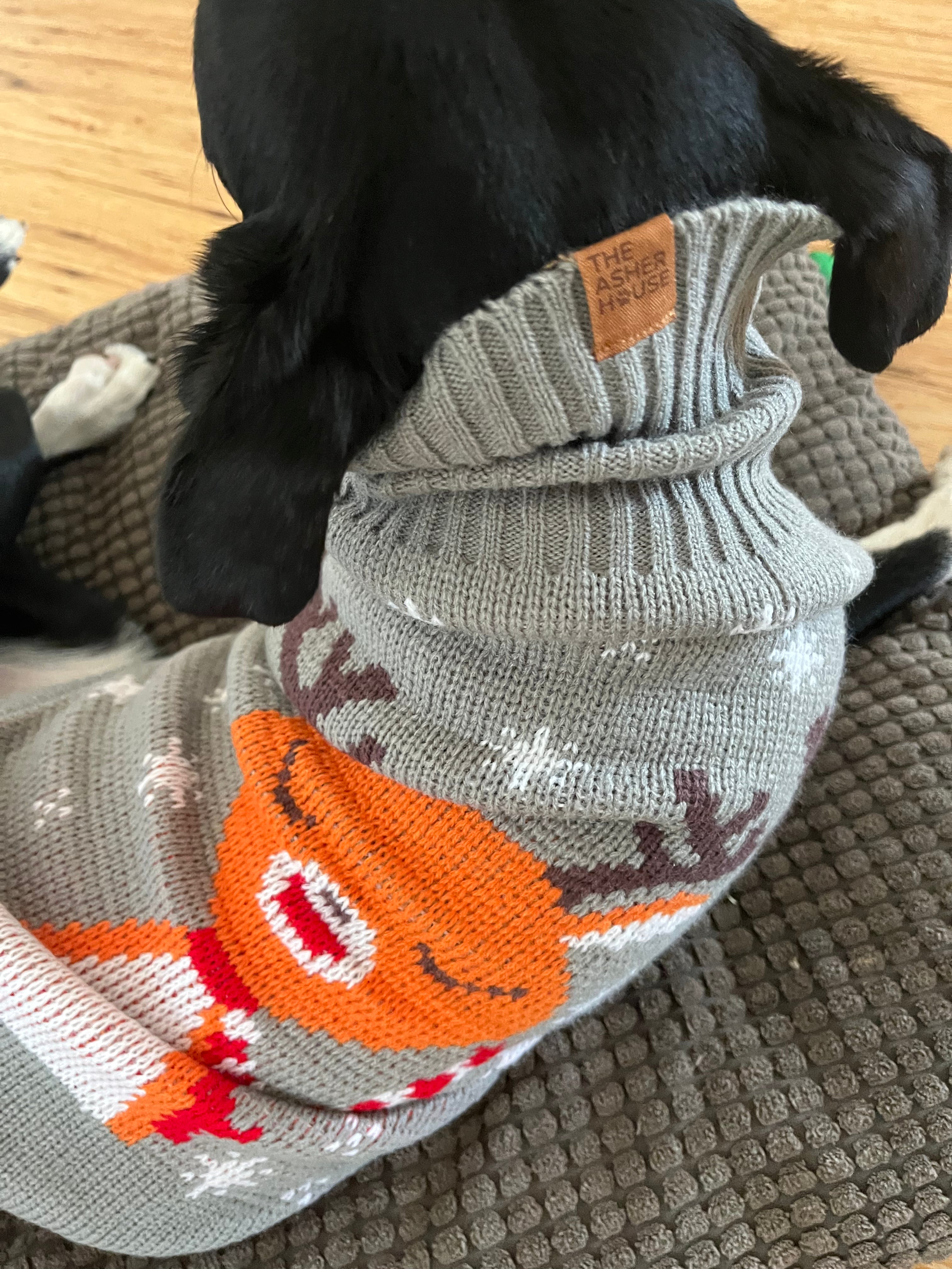 New! Cozy Holiday Pet Sweaters