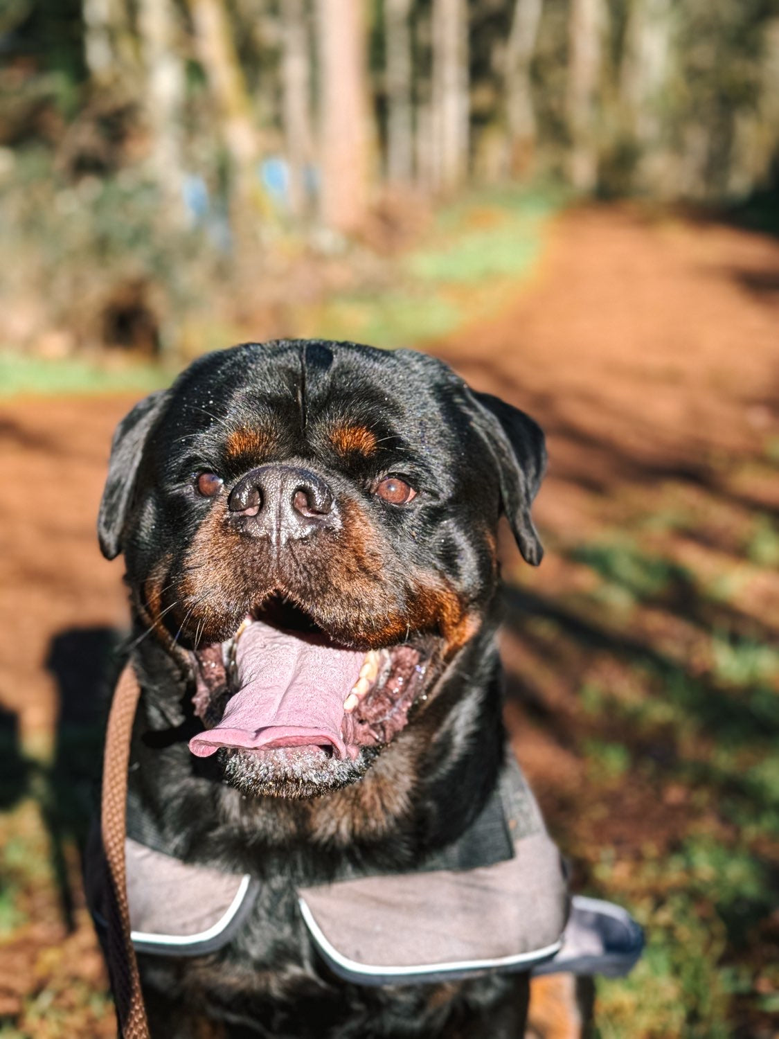 AROUND THE SANCTUARY: