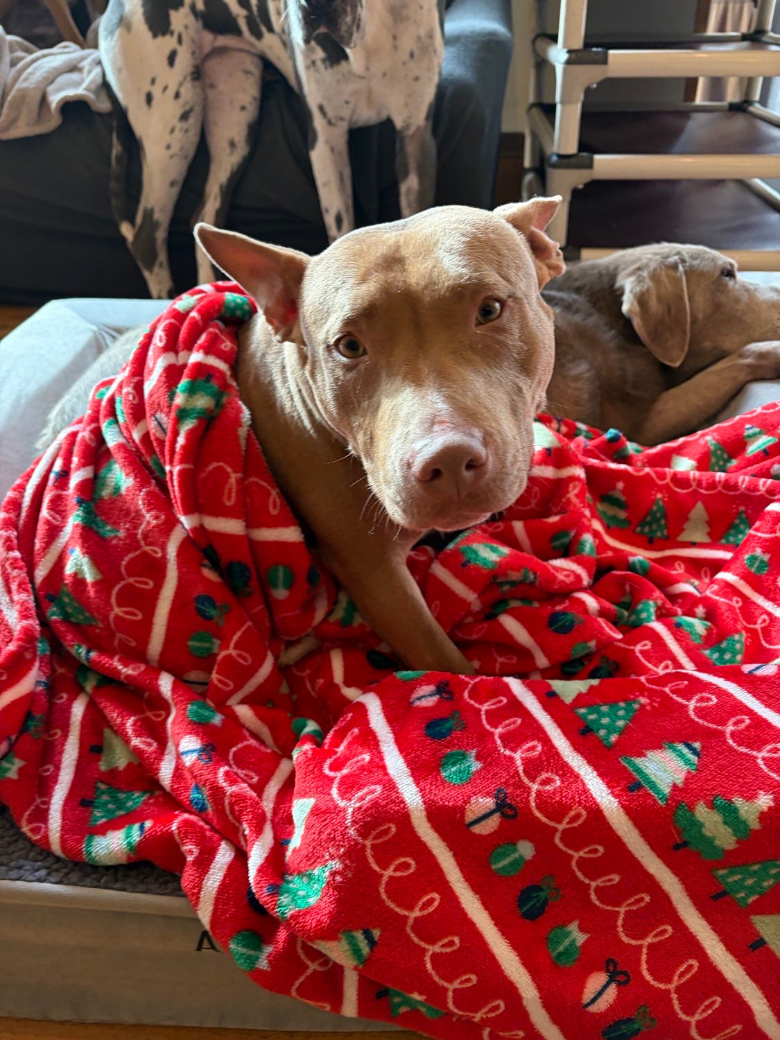 Community Generosity: