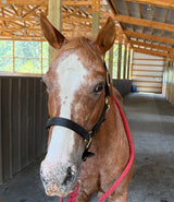 Zippy