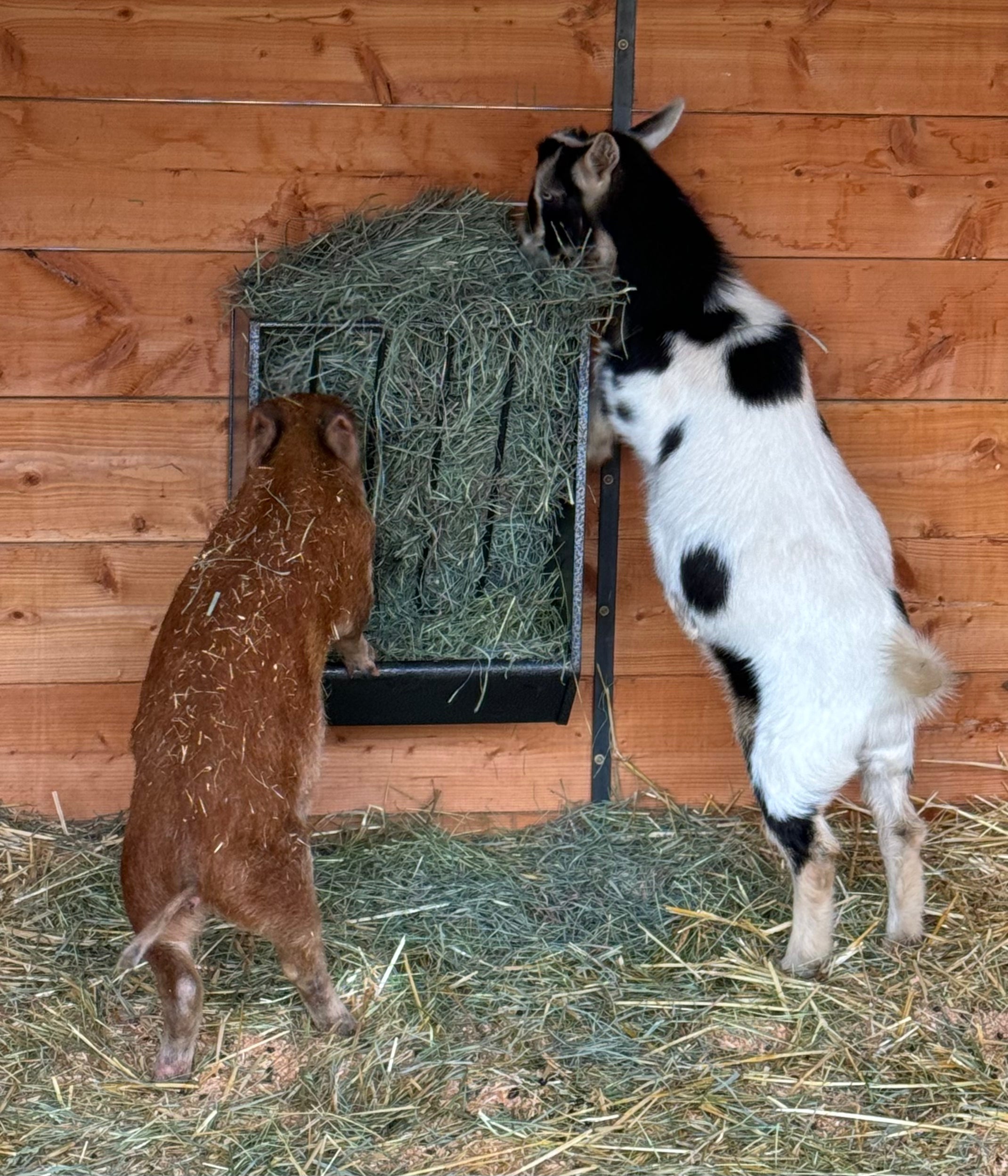 AROUND THE SANCTUARY: