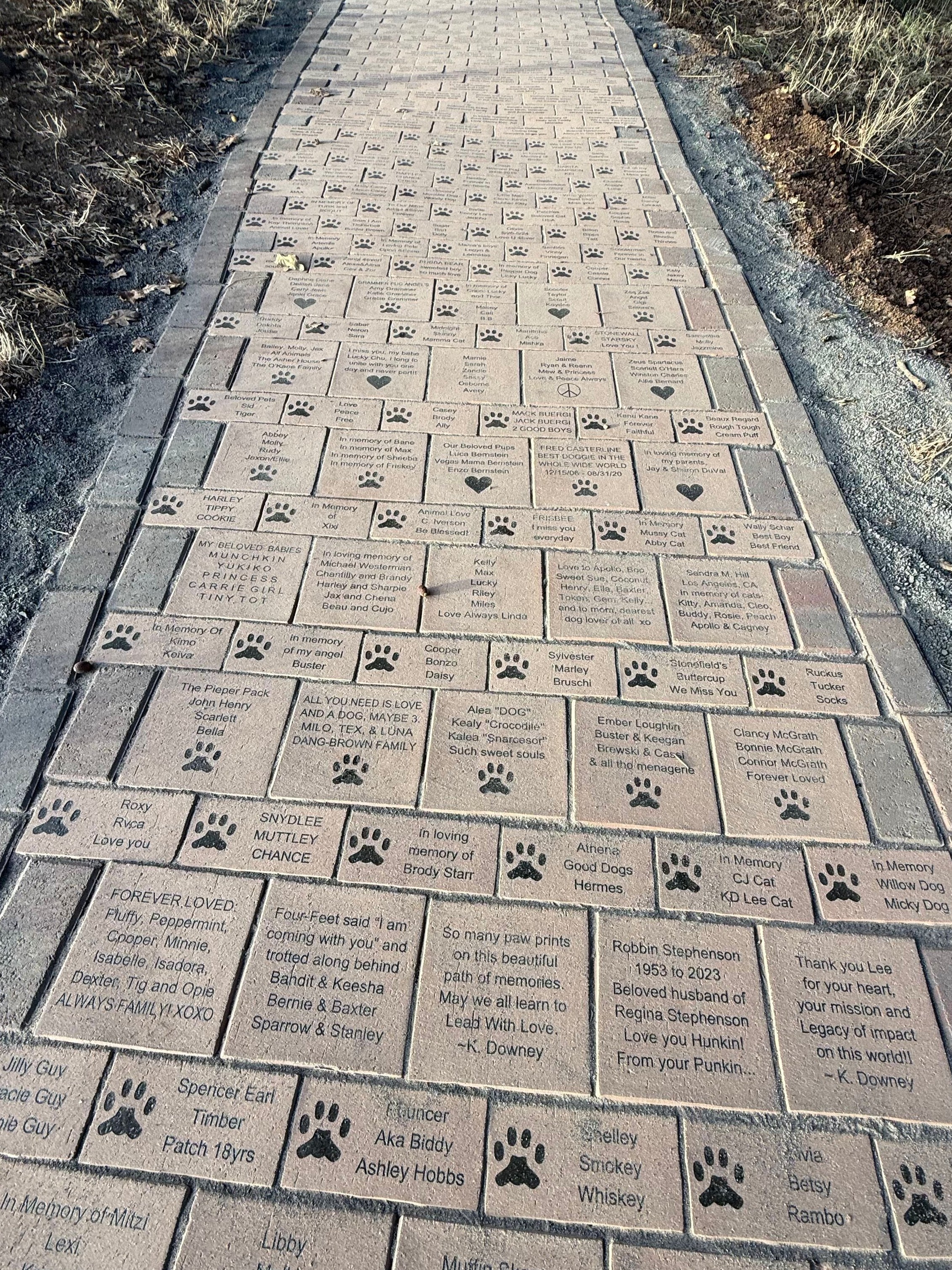 Row of engraved stone pavers with inscriptions and paw prints on a pathway.