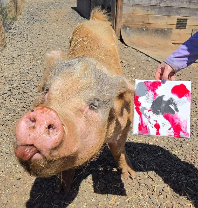 Approach Animal Drawing Art for the Animals – The Asher House
