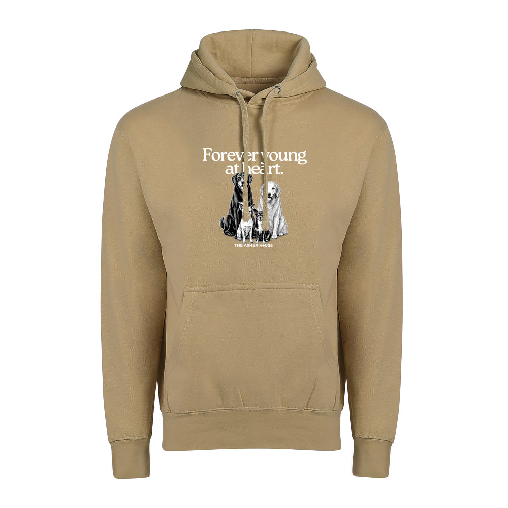New! PawsitiviTEES Hoodie Forever Young At Heart - Up to 5XL