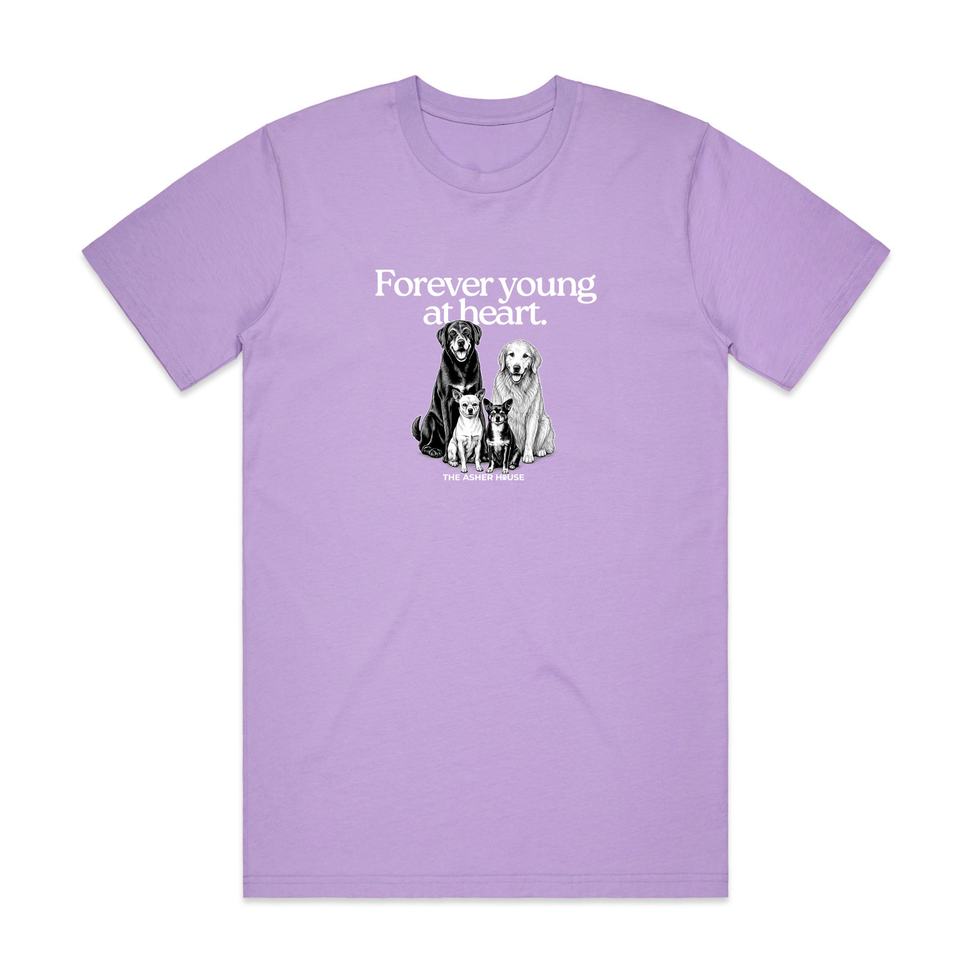 New! PawsitiviTEES T-Shirt: Forever Young at Heart- Up to 3XL