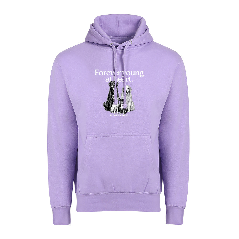 New! PawsitiviTEES Hoodie Forever Young At Heart - Up to 5XL