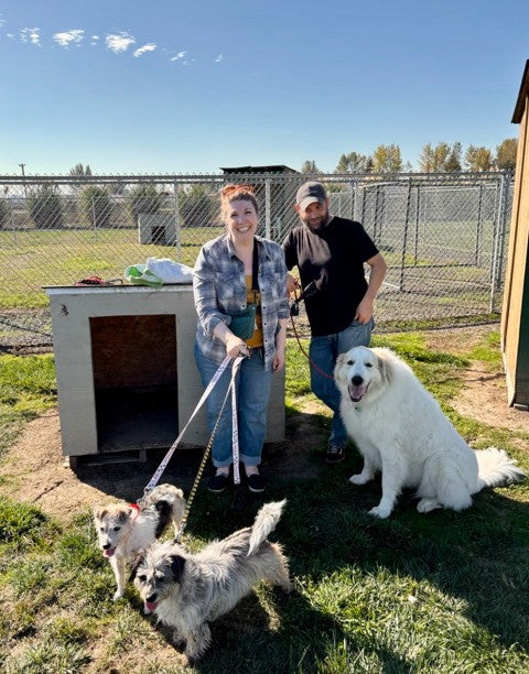 Mia_Scruffy_Adoption.jpg