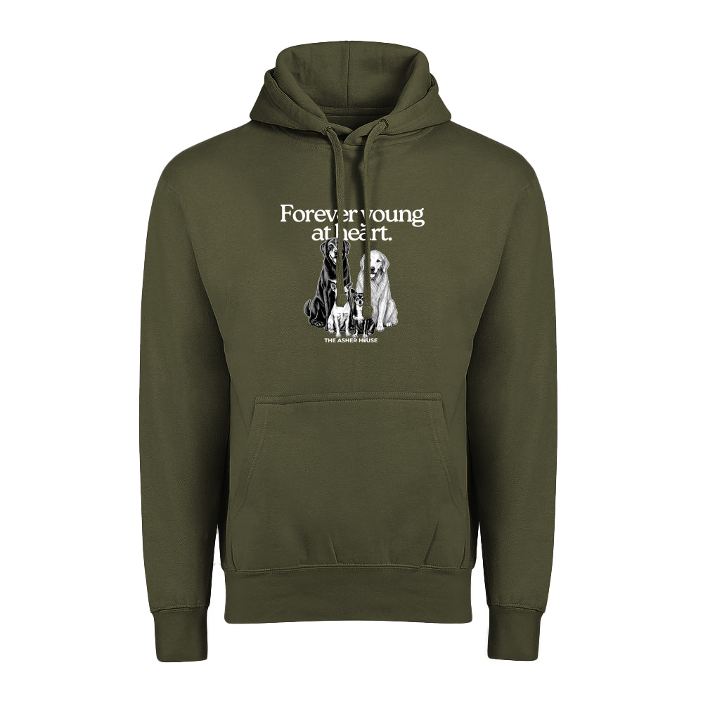 New! PawsitiviTEES Hoodie Forever Young At Heart - Up to 5XL
