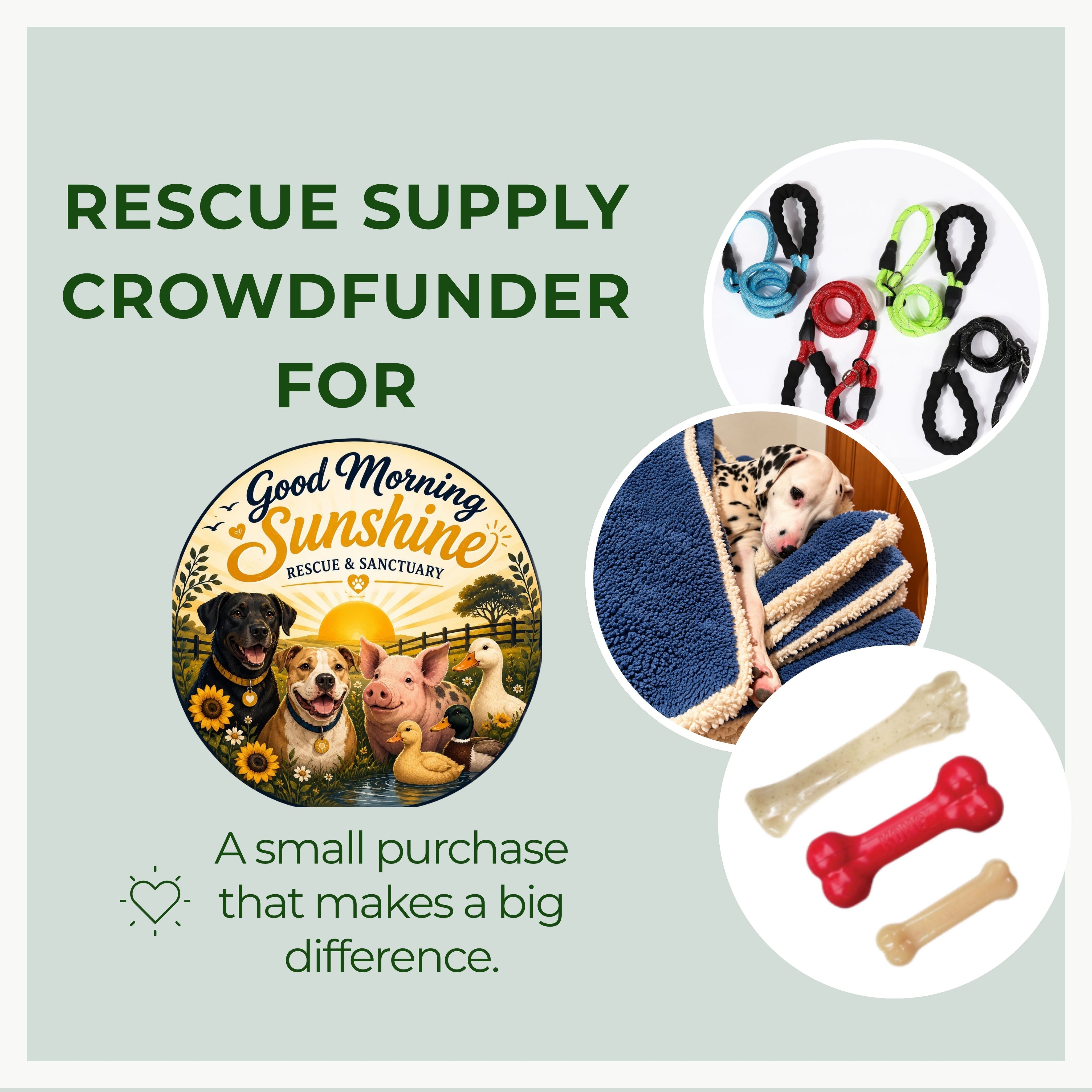 NEW_crowdfunder_creative_959c1eef-cc5b-4abb-8e3e-c4625dcf9e93.jpg