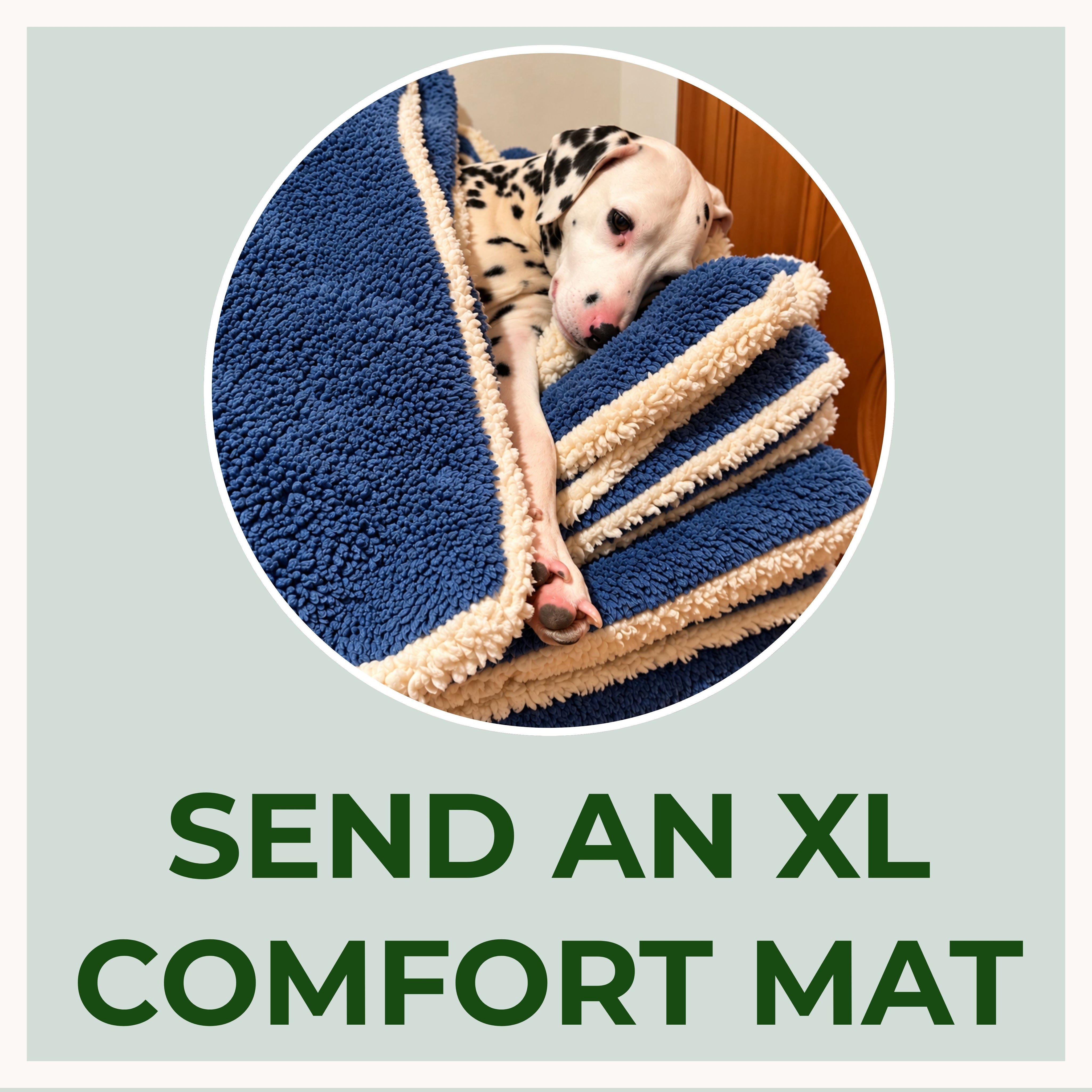 Send An XL Comfort Mat to Good Morning Sunshine Rescue