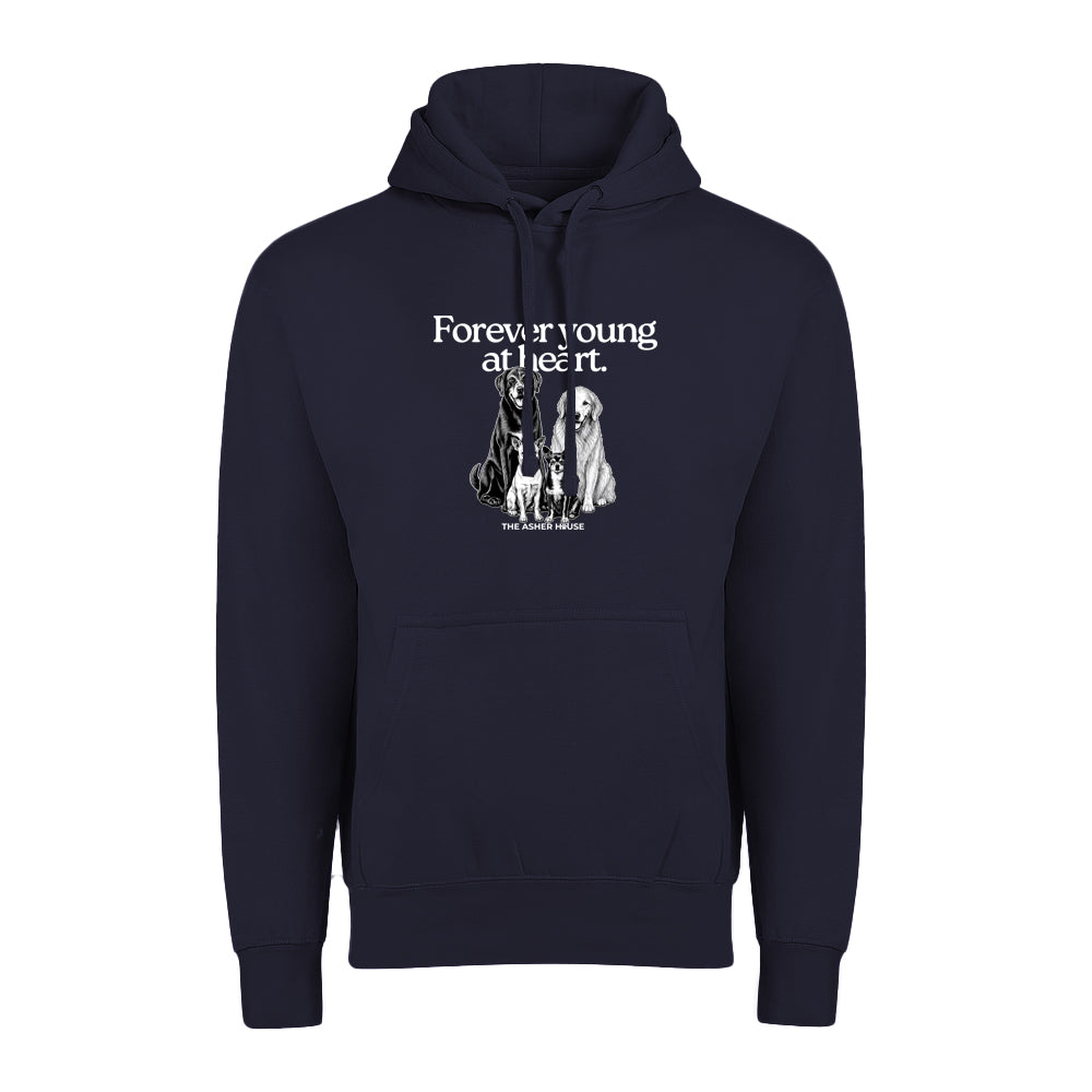 New! PawsitiviTEES Hoodie Forever Young At Heart - Up to 5XL