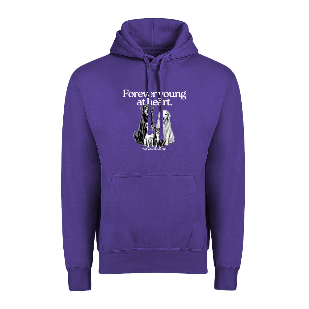 New! PawsitiviTEES Hoodie Forever Young At Heart - Up to 5XL