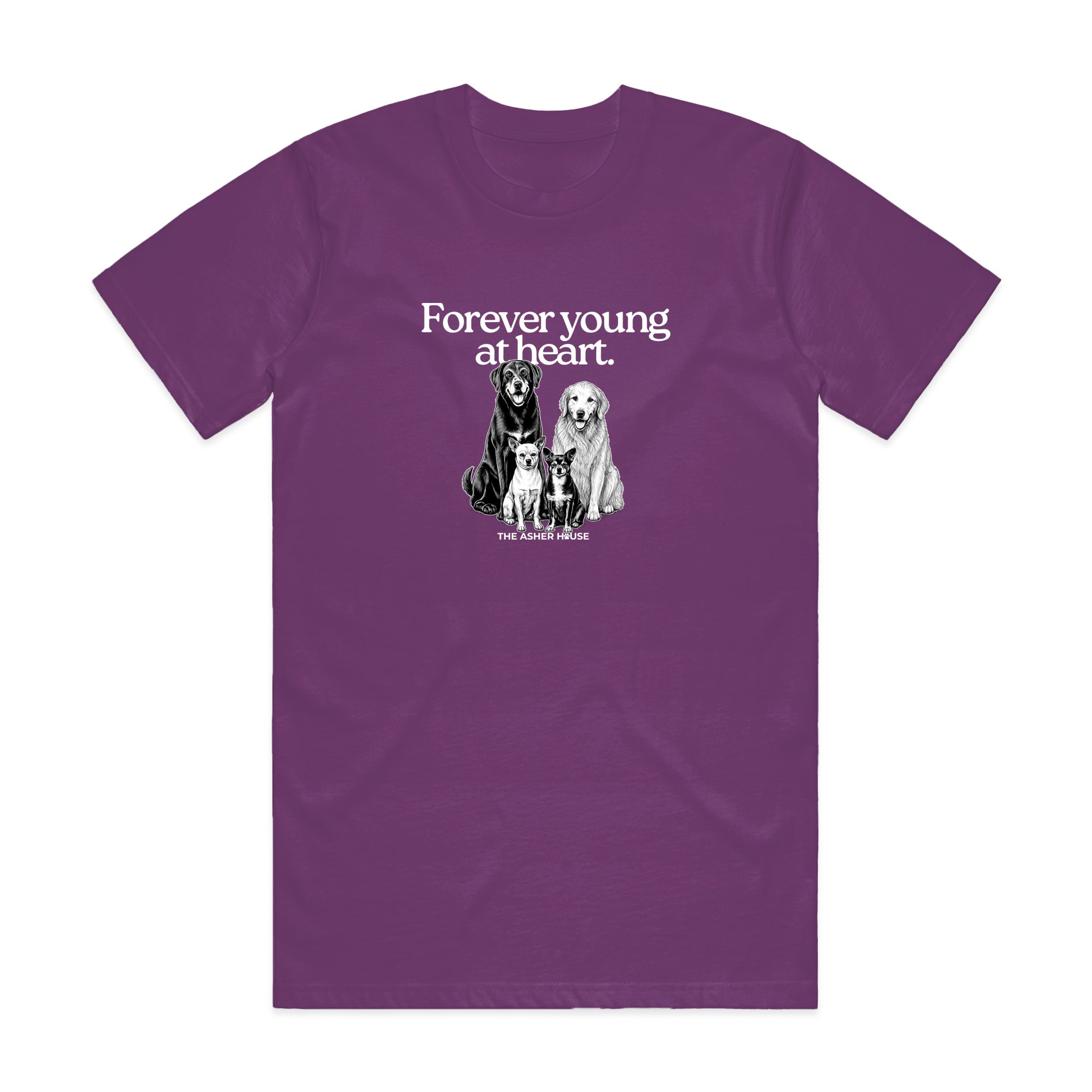 New! PawsitiviTEES T-Shirt: Forever Young at Heart- Up to 3XL