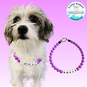 New! Custom Pet Necklaces by KAIND WORDS