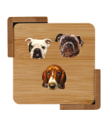 The Asher House Coasters- Set of 4