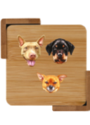 Load image into Gallery viewer, The Asher House Coasters- Set of 4
