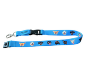 Lanyard
