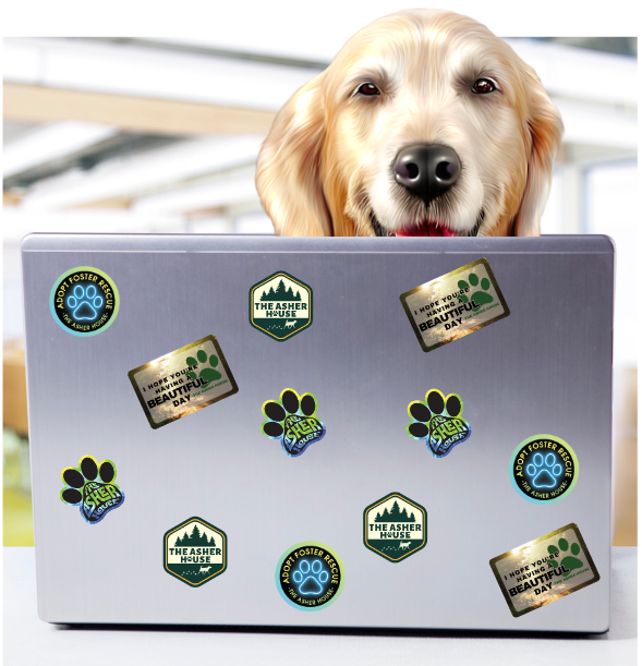 Vinyl Stickers: New! Designs