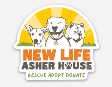 Pakistan Dog Shelter Donations Near Me New Design Magnets – The