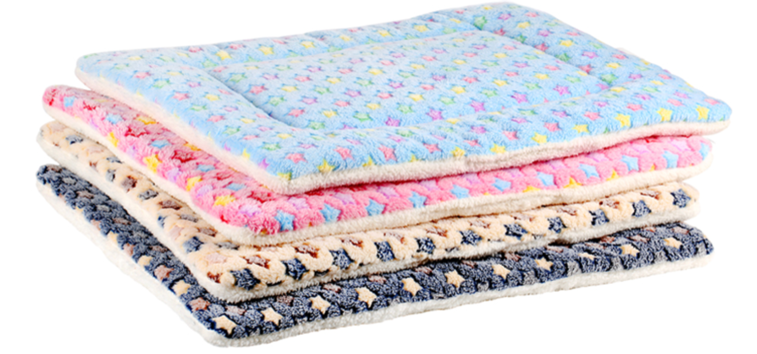 Buy A Pet Bed for SICSA!