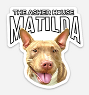 New! Pack Portraits Vinyl Stickers