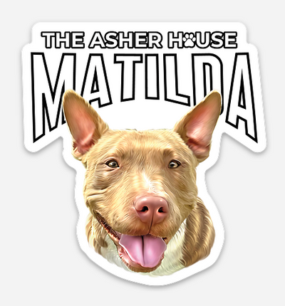 New! Pack Portraits Vinyl Stickers