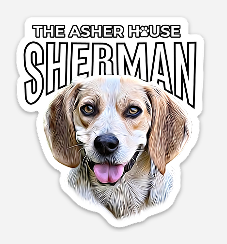 New! Pack Portraits Vinyl Stickers