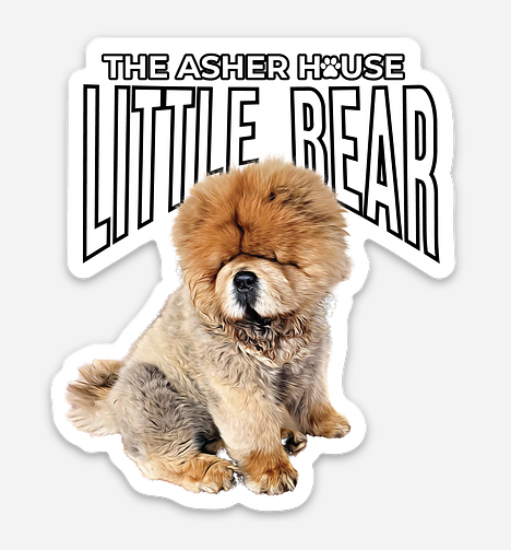 New! Pack Portraits Vinyl Stickers