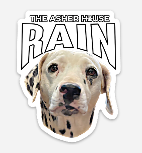 New! Pack Portraits Vinyl Stickers