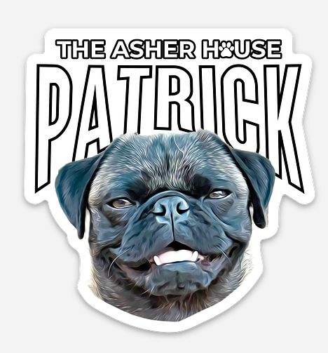 New! Pack Portraits Vinyl Stickers