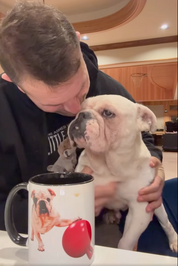 New! Portraits Tommy 11oz Ceramic Mug