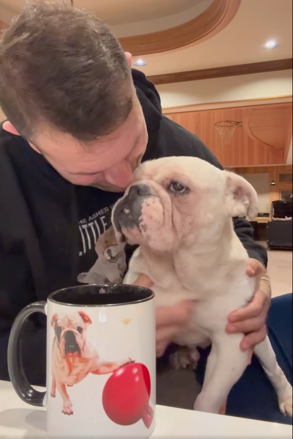 New! Portraits Tommy 11oz Ceramic Mug