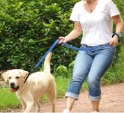 NEW! Bungee Dog Leash
